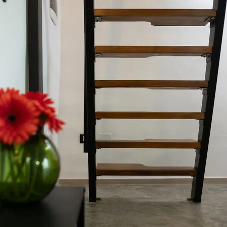 Loft Gaetano Apartment Ostuni